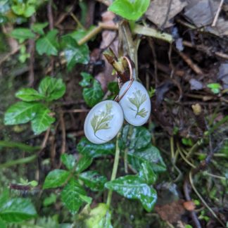 Rabbit Foot Fern Earrings